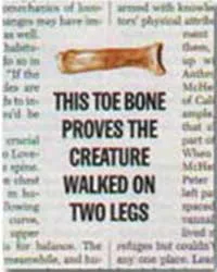 On the cover of Time magazine's July, 23, 2001, issue was a painting of an ape-man called Ardipithecus ramidus kadabba. The painting was based on some fragmenta