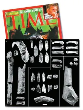 time magazine
