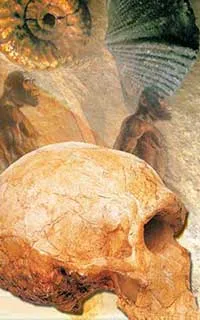 skull