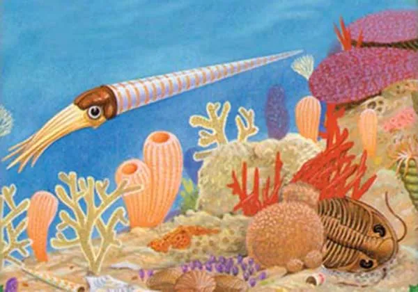 cambrian