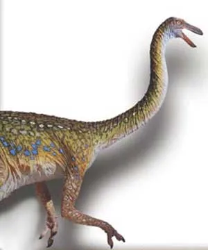 The evolutionists claim that birds evolved from dinosaurs has no scientific basis to it. Evolutionists ignore this fact, however, and try to keep their claims a