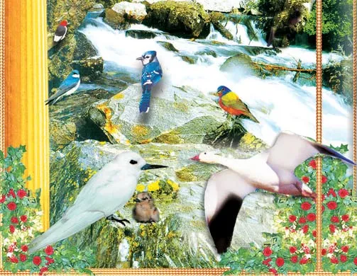 Thanks to special air sacs all along the passages betwen them, air always flows in one direction through the avian lung. In this way, birds are able to take in