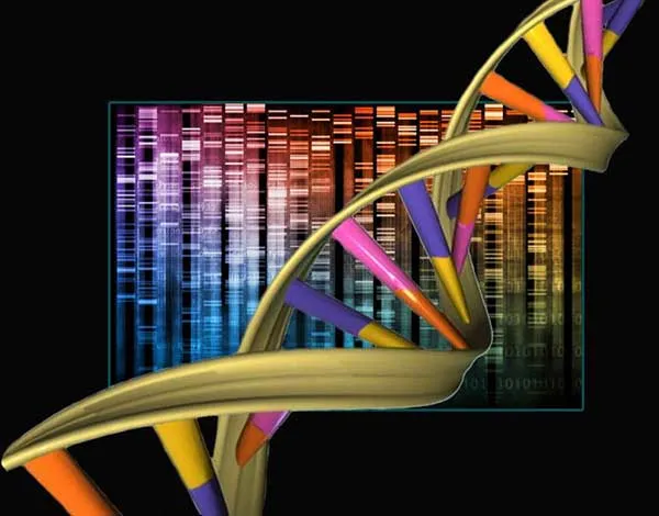 The molecule known as Dna, which is found in the nucleus of each of the 100 trillion cells in our bodies, contains the complete blueprint for the construction o