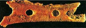 Neanderthal flute