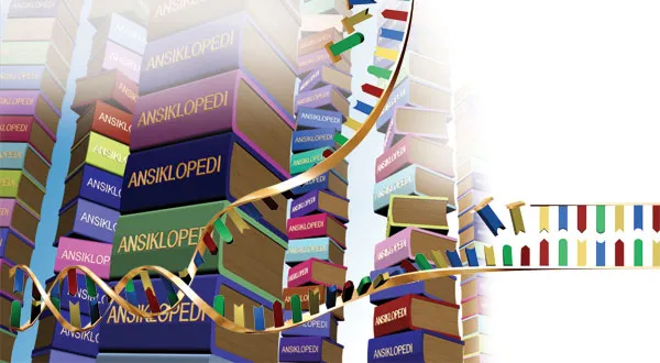 The idea that a gloriously complex structure such as DNA came into being by chance is one of the worst falsehoods of Darwinism.The idea that a gloriously comple