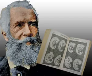 Ernst Haeckel and his false embryo drawings.