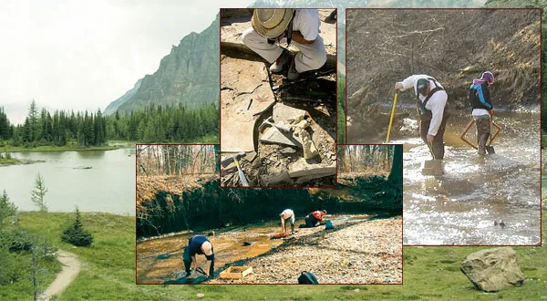 There are more than 380 fossil beds on Earth. More than 350 million fossils have to date been extracted from those fossil beds. But all these fossils prove Crea