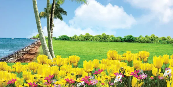 This is Allah's creation. Show me then what those besides Him have created! The wrongdoers are clearly misguided.(Surah Luqman, 11)