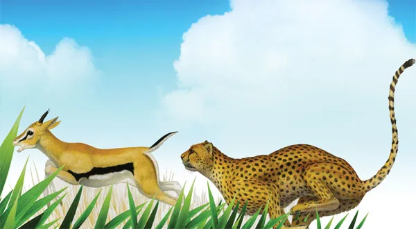 Natural selection cannot give rise to a new species.In a herd of deer threatened by predators, those that can run faster will survive, and thus the herd will co