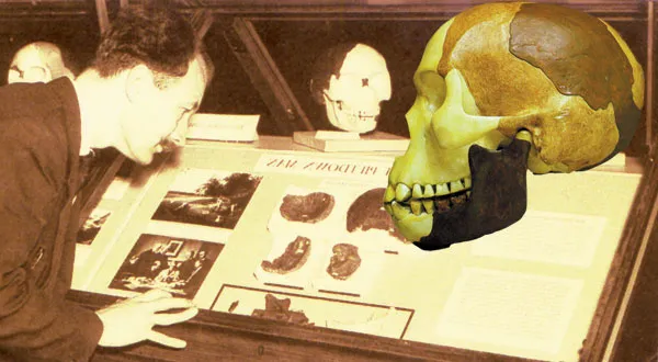 1. The Fake Piltdown Man SkullThe Piltdown Man is an infamous hoax, assembled by adding a human skull to the jaw of a recently deceased orangutan. This hoax fos