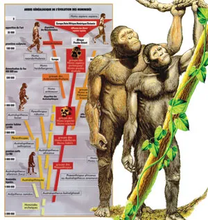 Darwinistlerin insanları bir aldatmacaya inandırmak için geliştirdikleri binlerce sahte şemadan biri...