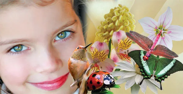 Mutations are the Foe of SymmetryThe mathematical proportionality in the leaves of a sunflower, the shell of a snail, a pinecone or the length of our fingers is