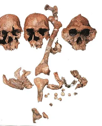 There is no scientific evidence for the claim that man evolved. What is put forward as "proof" is nothing but one-sided comment on a few fossils.
