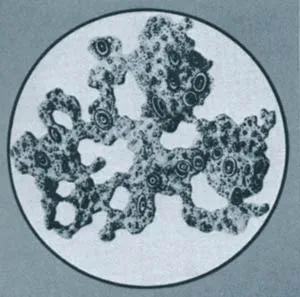 In Darwin's time, it was thought that the cell had a very simple structure. Darwin's ardent supporter Ernst Haeckel suggested that the above mud pulled up from