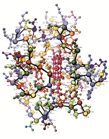 The complex 3-D structure of the protein cytochrome-C. The slightest difference in the order of the amino acids, represented by little balls, will render the pr