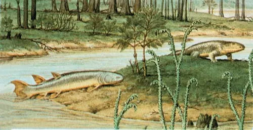 The "transition from water to land" scenario, often maintained in evolutionist publications in imaginary diagrams like the one above, is often presented with a