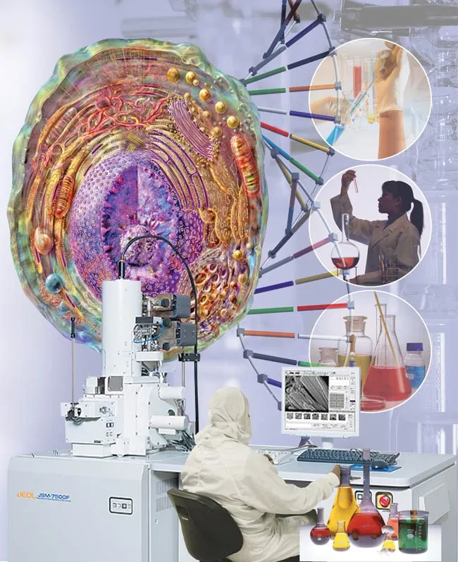 The cell that Darwin in the 19th century imagined to be a balloon filled with water, has actually turned out to be more complex than the city of New York, one o