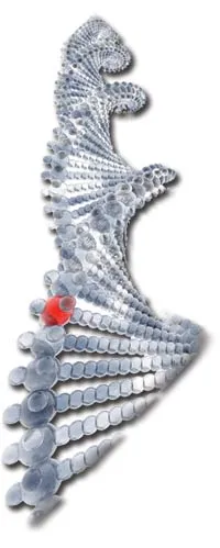 DNA