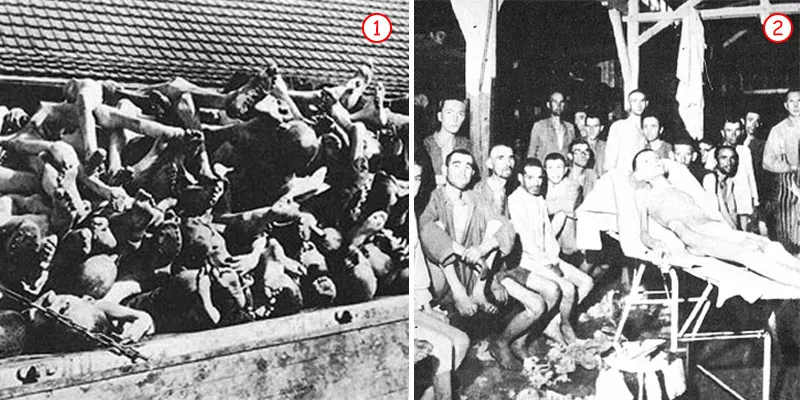 As the allied forces liberated Nazi-occupied lands, the brutal genocide the Nazis carried out in the concentration camps came to light. 11 million people had be