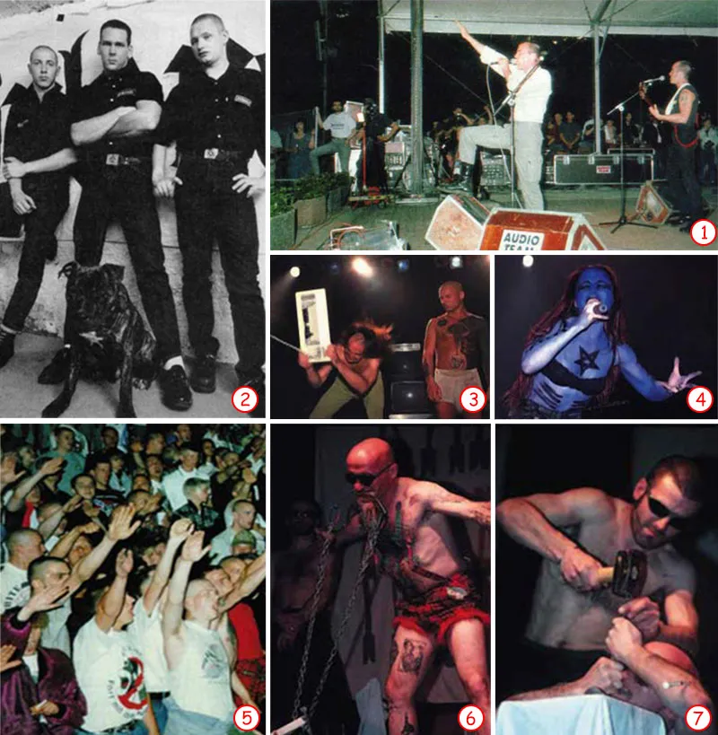 Fascism by Way of Music The neo-Nazi movement is developing as a subculture that is beginning to have an increasing influence on ignorant and problematic segmen
