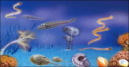 A drawing of the creatures from the Ordovician Period