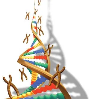 dna
