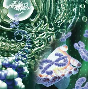 The packaging of DNA is one of the proofs of creation. A chromosome is a total of 1nanometer thick–one billionth of a millimeter. The packaging of a DNA molecul