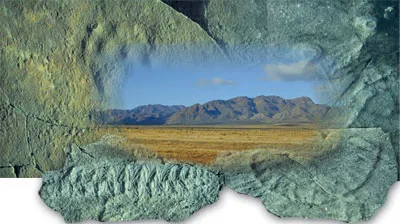 The Ediacara Hills in Australia, where the remains of pre-Cambrian life forms were discovered.