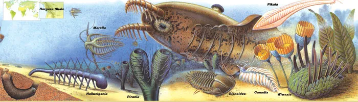 In the same way that Burgess Shale life forms had very different bodily structures from one another, they also had very different life styles. No evolutionary m