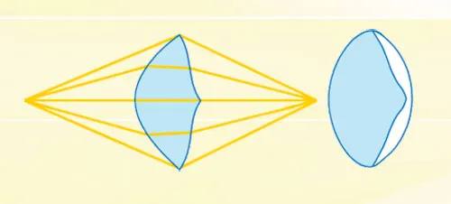 The lens design by Huygens for maximum clarity (above left) also existed in the lens of a trilobite species (above right). It serves the same function as Descar