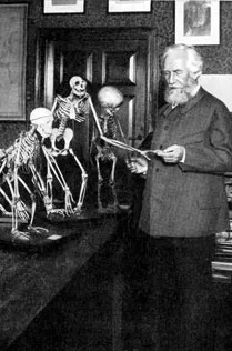Haeckel was an evolutionist even more ardent than Darwin in many respects. For this reason, he did not hesitate to distort the scientific data and devise variou