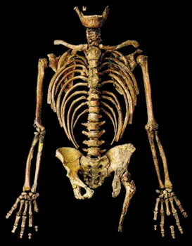 neandertaller, neandertal iskeleti