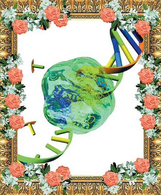 The arrangement of information in the DNA molecule, the cell's data bank, is different in every individual in every species. That is the underlying reason why a