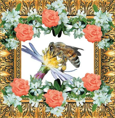 Wild bees that feed on the larvae of insects that damage domestic fruit are some of the organisms employed in the struggle to control agricultural pests.