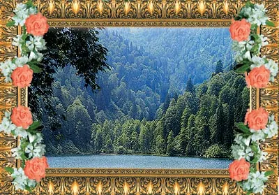 trees