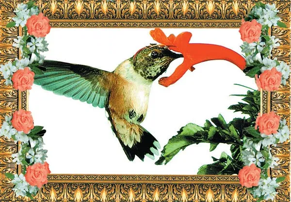 One-third of the vegetable foodstuffs consumed by human beings are fertilized by more than 100,000 different animal species, including such as bees, butterflies