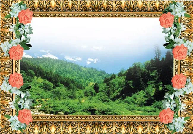 Trees and vegetation cover prevent erosion; protecting the soil against the erosive effects of wind and rain.