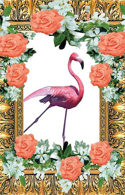 flamingo