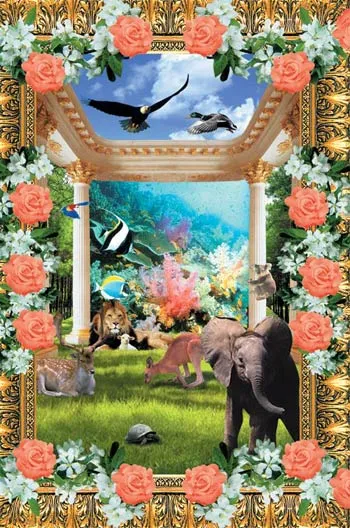 evolution of species