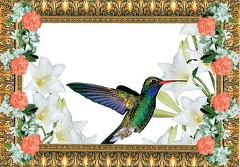 bee-eater
