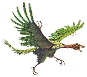 An illustration of Archaeopteryx