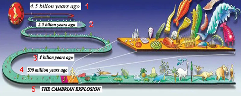 1. 4.5 billion years ago 2. 2 billion years ago 3. 1 billion years ago 4. 530 million years ago 5. THE CAMBRIAN EXPLOSION