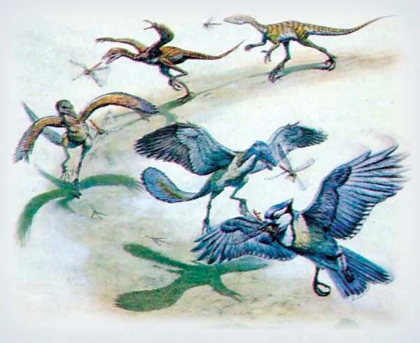 The idea that dinosaurs turned into birds by growing wings as they hunted flies is not a comic story, but in fact, evolutionist theoreticians’ most serious thes