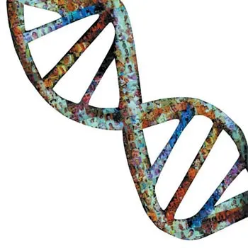 Francis Crick's discovery of DNA shed light on its extraordinarily complex structure.