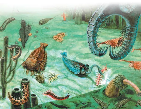 Living things from the Cambrian Period
