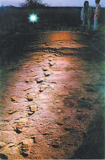 Human footprints 3.6 million years old, found in Laetoli, Tanzania