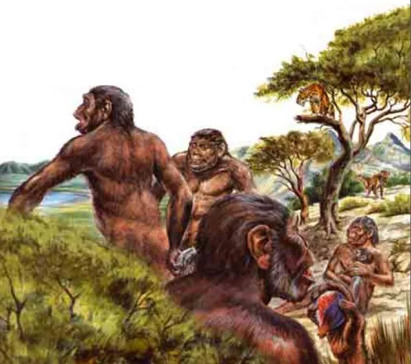 neandertal