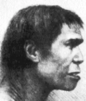 A depiction of Piltdown Man, based on the fraudulent fossil