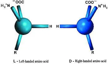 The question of how proteins distinguish left-handed amino acids, and how no right-handed amino acids ever become mixed up in them, are ones that evolutionists