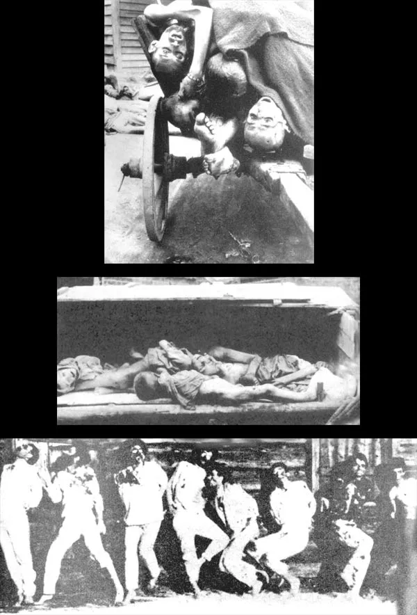 These photos reflect a very small part of the tragedies inflicted on humanity by Social Darwinism. Conflicts in the name of racism, fascism, communism or imperi